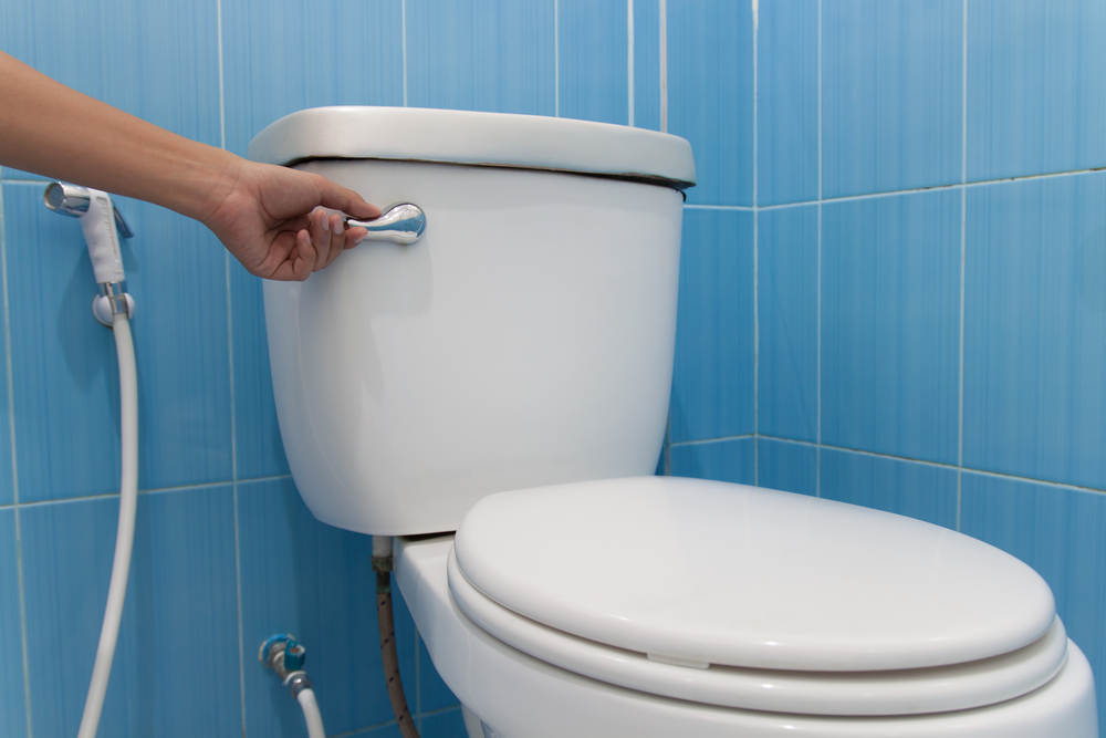 Mécanisme de chasse d'eau standard pour réservoir WC Bouton poussoir avec  fonction stop